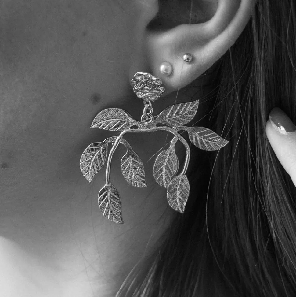 Boucles d'Oreilles Laurier