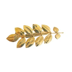 Broche Feuille d'Accacia Dorée